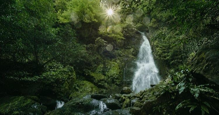 Park Resort Mtirala National Park Chakvistavi Экстерьер фото